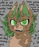 Warrior Cat- Izuku M