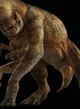 D Rex 