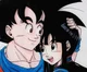 Goku and Chichi
