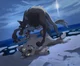 Balto RP