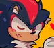 SHADOW T HEDGEHOG 