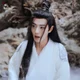 Wei Wuxian 
