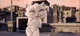 Misscat