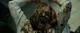 eric pucci-EVIL DEAD