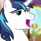 Shining Armor 