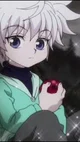 Killua Zoldyck