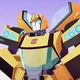 Bumblebee TFCV