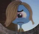 Rob tawog
