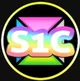 S1C