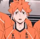 Shoyo Hinata 