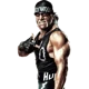 Hollywood Hogan