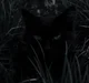 D3PUTYS 0FFSPR1NG