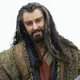 Thorin Oakenshield