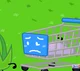 Shopping cart 