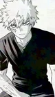 Katsuki Bakugou 