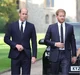 William and Harry