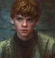 Jojen Reed