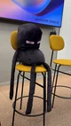 Enderman decaido