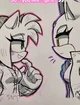 Amy and Blaze 