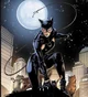 DC Selina Kyle 
