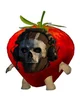Simon Ghost Riley