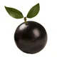 Jabuticaba
