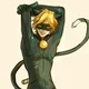 Chat noir