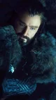 Thorin Oakenshield
