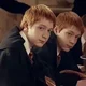 Twins Weasley 