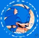 SONIC T HEDGEHOG 