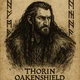 Thorin Oakenshield
