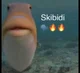 Fish 
