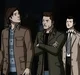 TEAM FREE WILL