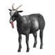Goat
