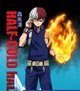 Shoto todoroki 