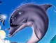 ECCO the Dolphin