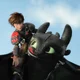Hiccup and Toothless
