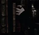 Regulus