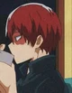 Shoto todoroki 