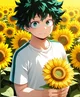 MHA - Flower Field