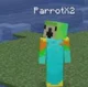 001 parrotx2