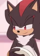 Shadow the Hedgehog