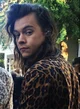 harry styles - 2015