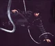 Tom Kaulitz 