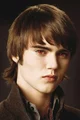 Alec Volturi