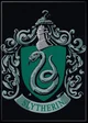 The Slytherin Boys