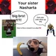 Your Sister Nasharta