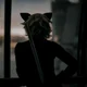 Chat Noir