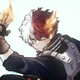 Shoto Todoroki Crush