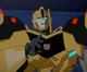 Bumblebee TFRID